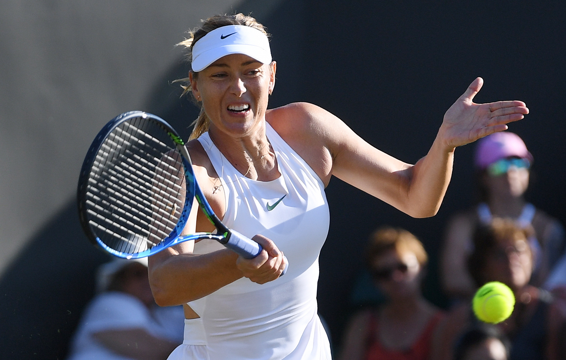 南宫28-莎拉波娃迎来十赛季高光表现，掘金球迷沸腾！的简单介绍